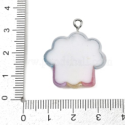 Pendentifs en résine transparente&nbsp;RESI-R467-01P-02