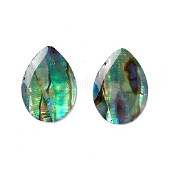 Cabochon conchiglia paua&nbsp;SSHEL-C008-11