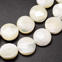 Fili di perle di conchiglia trochid naturale / trochus&nbsp;SSHEL-K016-03B