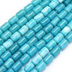 Natürliche Malaysia Jade Perlen Stränge&nbsp;G-B165-E06-8x12mm