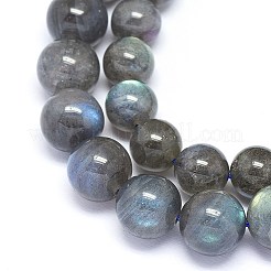 Perline labradorite naturale fili&nbsp;G-F602-04-8mm-01