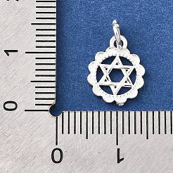 925 Sterling Silber Blume Davidstern Charms&nbsp;STER-F059-02S