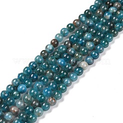 Chapelets de perles en apatite naturelle&nbsp;X-G-D856-01-4mm