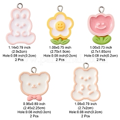 10pcs 5 Arten undurchsichtige Harzanhänger&nbsp;RESI-FS0001-54