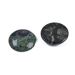 Natürliche Kambaba Jaspis Cabochons&nbsp;G-H1596-FR-25mm-06