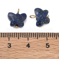 Gefärbt natürliche Lapislazuli Anhänger&nbsp;KK-D289-61G-06