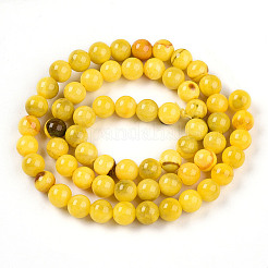 Chapelets de perles en jade persan naturel&nbsp;G-A255-A02-01I