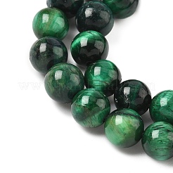 Brins de perles en œil de tigre naturel de Grade B&nbsp;X-G-F591-18-8mm-04