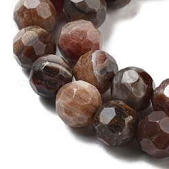Natürliche versteinerte Holzperlen Stränge&nbsp;G-C150-B01-01