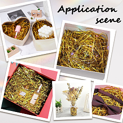 Riempitrice per brandelli di carta tagliata a grinze di rafia&nbsp;DIY-SP0002-40C