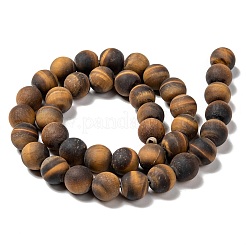 Filamenti di perline rotonda naturale occhio di tigre smerigliato&nbsp;X-G-M064-10mm-02