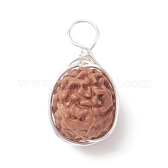 Pendenti avvolti in filo di rame rudraksha naturale&nbsp;PALLOY-JF02066-01