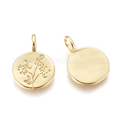Pendentifs en laiton&nbsp;KK-D159-03G-B