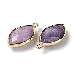 Pendenti in pietra di lepidolite naturale/mica viola&nbsp;G-B009-01G-01