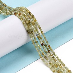 Naturelles grenat vert brins de perles&nbsp;G-C009-A23