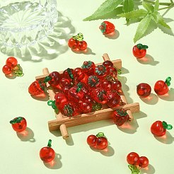 30pcs 3 Arten transparente Acrylanhänger&nbsp;TACR-CJ0001-61