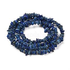 Natürliche Lapislazuli Steinperle Stränge&nbsp;X-G-R192-13