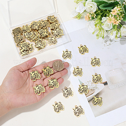 Pendentifs en alliage de style tibétain&nbsp;FIND-WH0199-392AG