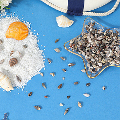 150 g 5 Stile natürliche gemischte Muschelperlen&nbsp;SSHEL-SC0001-50