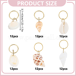 72 Stück 6 Stil Shell Haarstyling-Tools&nbsp;OHAR-DR00004