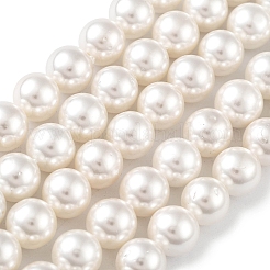 Chapelets de perles en coquille&nbsp;BSHE-L026-03-8mm