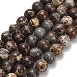 Brins de perles de jaspe astroite naturel&nbsp;G-H329-C02-8mm