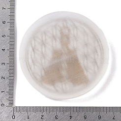 Dessous de verre plats et ronds en tranches de sélénite naturelle&nbsp;DJEW-C015-02K