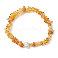 Elastische Armbänder aus natürlichem Bernstein und Süßwasserzuchtperlen für Damen&nbsp;BJEW-JB13651