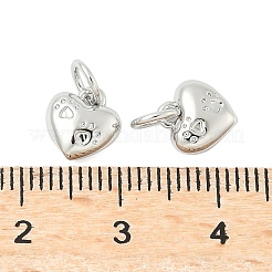 Charms in ottone&nbsp;KK-I276-64P