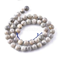 Chapelets de perles en labradorite naturelle &nbsp;X-G-G212-8mm-23