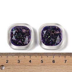 Transparentes Epoxidharz Glitzerpulver Decoden Cabochons&nbsp;CRES-S367-17B