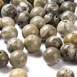 100pcs 8mm natürliche fossile Korallen runde Perlen&nbsp;DIY-LS0002-34