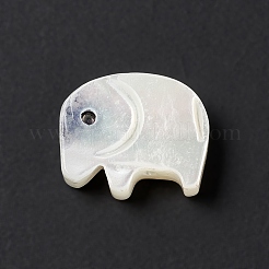Shell perle bianche naturali&nbsp;BSHE-G031-02