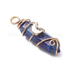 2 Stück 2 Stile natürlicher Lapislazuli&nbsp;PALLOY-JF03122-04