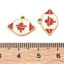 Pendentifs en acier inoxydable 304 émaillés&nbsp;SA-CBA7876-38G-03