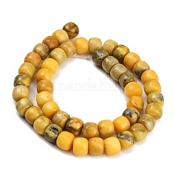 Chapelets de perles en jade blanc naturel teinté&nbsp;GG-CBAA20A-01B-04