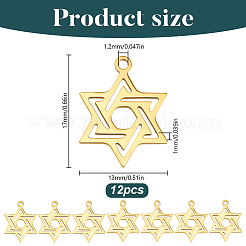 12 pz placcatura ionica (ip) ciondoli in acciaio inossidabile chirurgico 316l&nbsp;STAS-HY0001-91