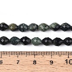 Natürliche kambaba Jaspisperlenstränge&nbsp;G-T142-86