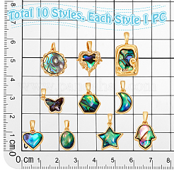 10 Stück 10 Stile natürliche Paua-Muschelanhänger&nbsp;KK-PH0014-29