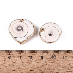 Galvanisierte Anhänger aus natürlicher Shiva-Augenmuschel&nbsp;SSHEL-Q100-12KCG