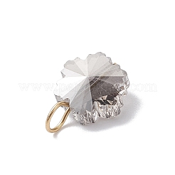 5 breloque flocon de neige en verre galvanisé 5 couleurs&nbsp;PALLOY-JF04336-01