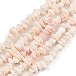 Natürliche rosa Muschelperlenstränge&nbsp;SSHEL-L016-19