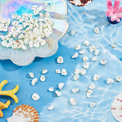 100 Stück 2 Farben natürliche Trochus Muschelnuggets Charms&nbsp;PALLOY-FH00130