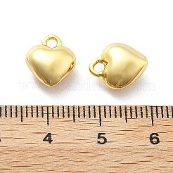 Messing Anhänger & Charms&nbsp;KK-U049-03G-01