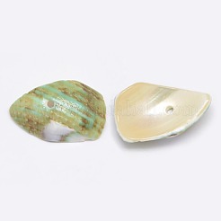 Cuentas de chips de concha en espiral natural teñidas&nbsp;SHEL-A003-B04