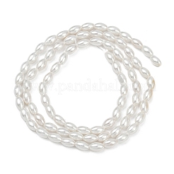 Galvanisierte Muschelperlenstränge&nbsp;BSHE-Z009-10B
