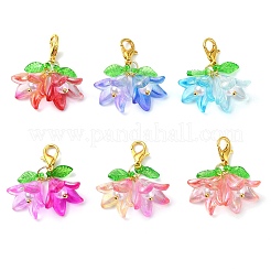 6 pz 6 colori decorazioni pendenti acriliche a forma di fiore&nbsp;HJEW-JM02719-02