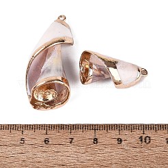 Galvanisierte Anhänger aus goldfarbenem Messing mit natürlichen Spiralmuscheln&nbsp;SSHEL-Q101-06