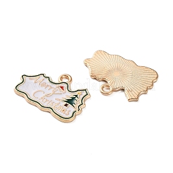 Pendentifs d'émail en alliage&nbsp;ENAM-I061-01KCG-08B