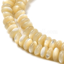 Natürliche Trochusmuschelperlenstränge&nbsp;SHEL-K006-25B